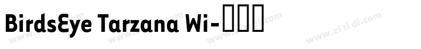 BirdsEye Tarzana Wi字体转换